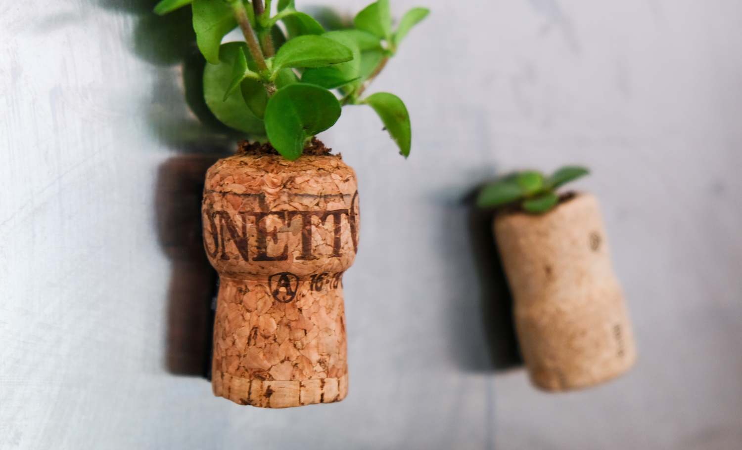 DIY magnetic wine cork planter